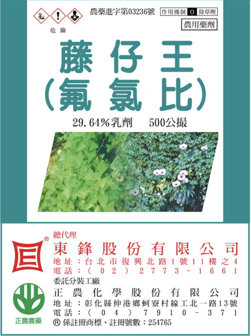 藤仔王